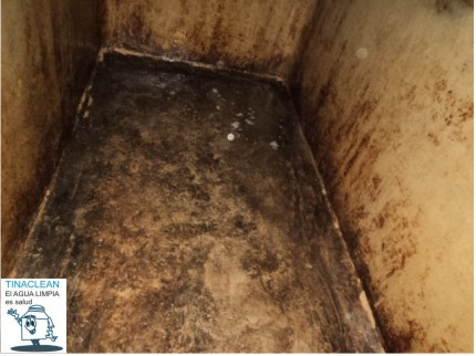 Servicio de lavado y desinfectado de aljibes con cucarachas basura raices en Zapopan  insectos