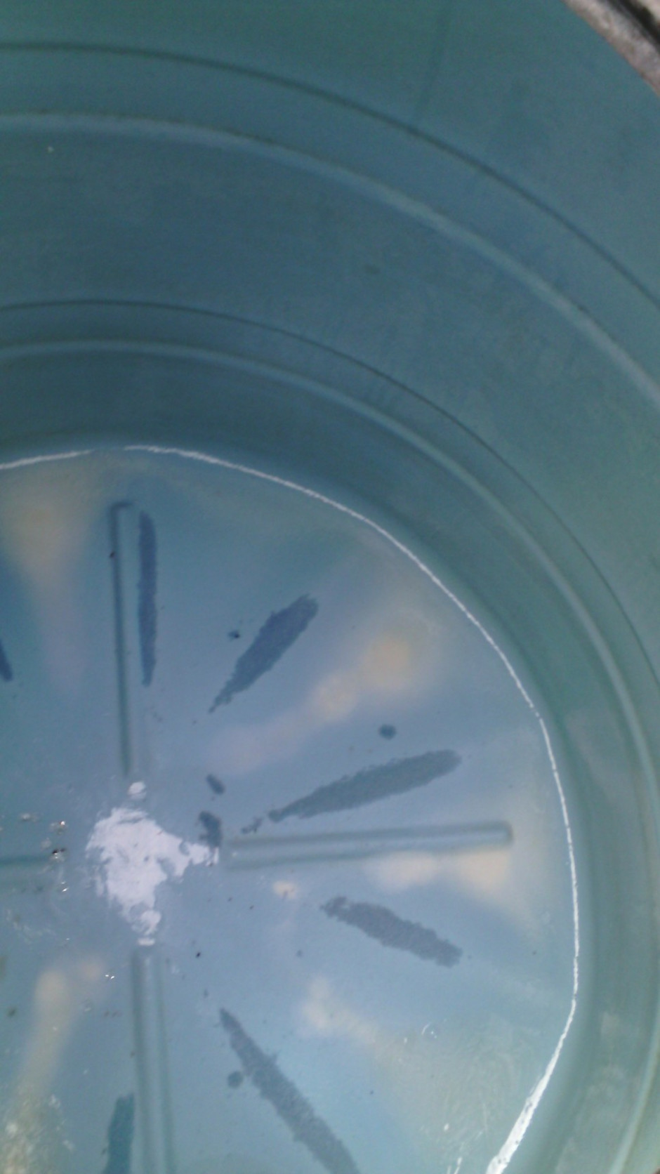 Limpieza de cisternas de plastico