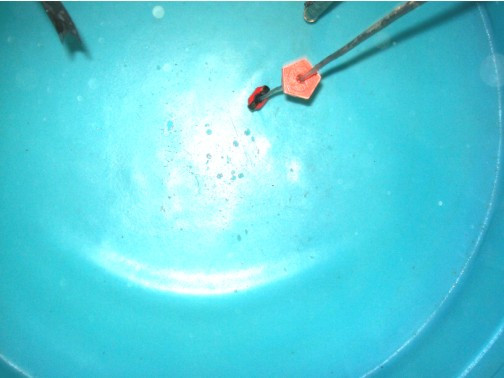 reparacion de cisternas con fugas de agua filtraciones fisuras grietas rajadas