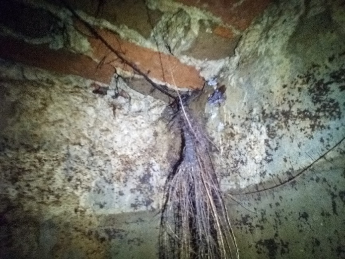 Deteccion revision  de fugas de agua en aljibes filtraciones grietas fisuras