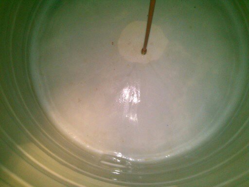 Lavado de cisternas Rotoplas contaminadas con lodo basura desazolve