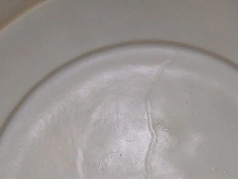 Servicios de limpieza desinfeccion tinacos contaminados cisternas guadalajara zapopan tonala